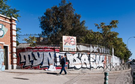 Operación Campamento: hay alternativa