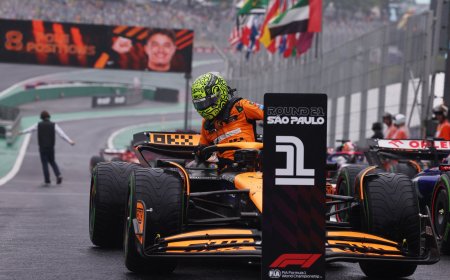 Pole de Norris en el apocalipsis de Interlagos