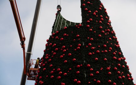 5 planes gratis en Madrid del 22 al 29 de noviembre: circo para pensar y la inauguración de la Navidad