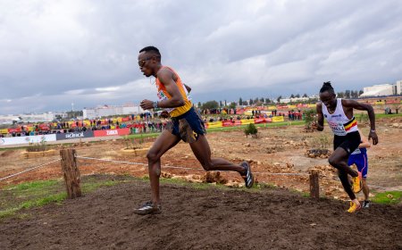Ndikumwenayo, bronce, lidera el triunfo de España en el Europeo de cross