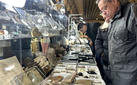 Se venden meteoritos: los aficionados a los fósiles  y las piedras espaciales encuentran su nicho en Madrid