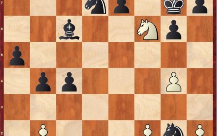 Análisis de ajedrez | Joyas rápidas de Carlsen (I)