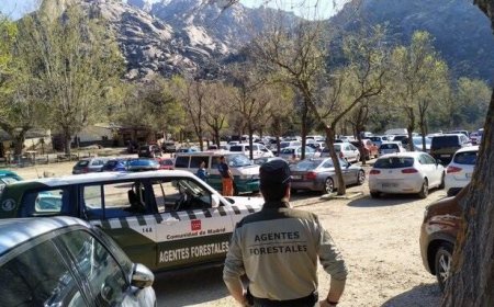 Intentos de agresión, un atropello y esprays de pimienta para defenderse: los agentes forestales de Madrid reclaman más seguridad