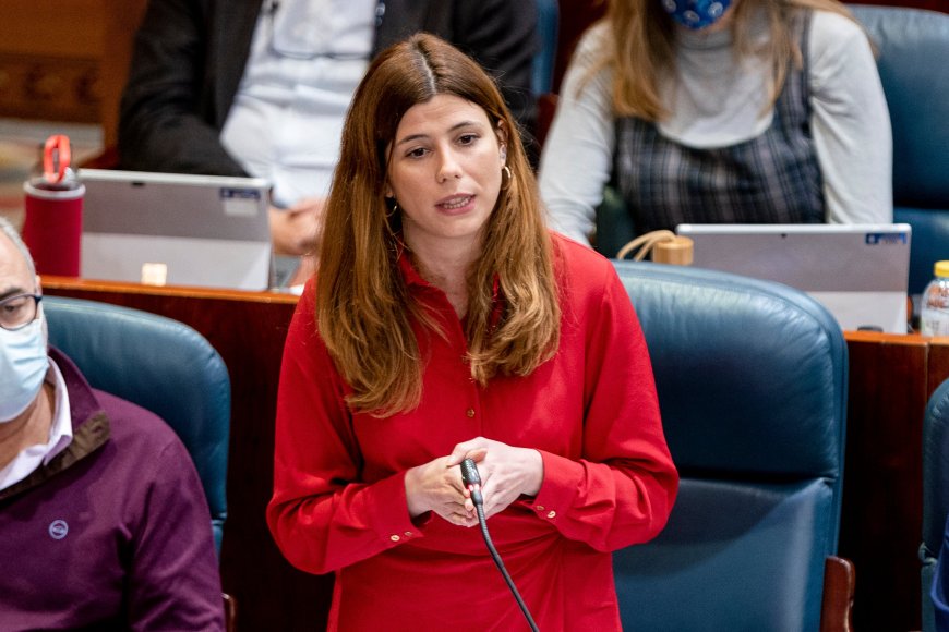 El comité de garantías de Más Madrid anula la destitución de Arenillas como miembro de la Mesa Regional del partido