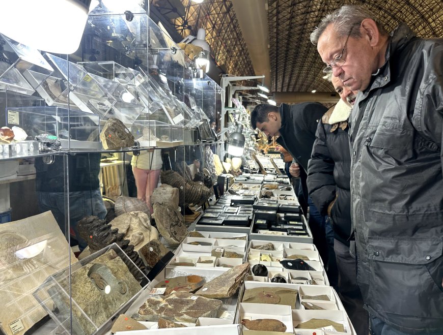 Se venden meteoritos: los aficionados a los fósiles  y las piedras espaciales encuentran su nicho en Madrid