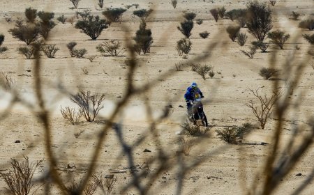 Rally Dakar: Santolino se estrena como ganador de etapa y Schareina apunta a la general
