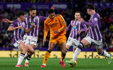La afición del Valladolid vuelca su enfado en el desaparecido Ronaldo