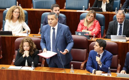 Un consejero de Ayuso, a una diputada de Más Madrid: “No me pongas morritos, que me descentro”