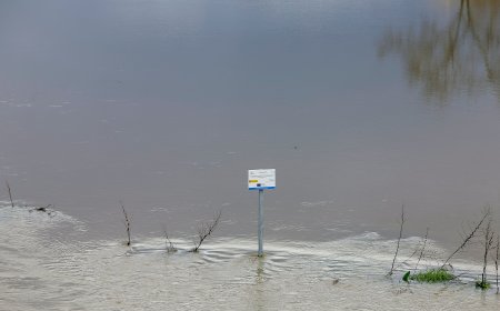 La crecida del Henares y del Alberche mantiene en alerta a varias localidades de Castilla-La Mancha