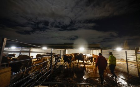 La lluvia da una tregua de unas horas a la Comunidad de Madrid
