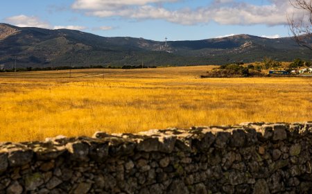 Carpetazo al parque empresarial que iba a construirse en una zona protegida de San Lorenzo de El Escorial