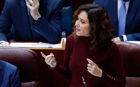 El Ejecutivo de Ayuso admite “las anomalías” de los contratos del ‘caso FP’ y usa los casos ‘Gürtel’ y ‘Púnica’ para personarse como acusación
