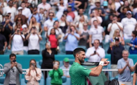 Djokovic siempre vuelve, ahora a por su título 100