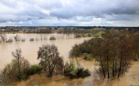 Villa del Prado, 7.500 vecinos y 24 días sin agua potable
