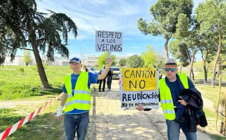 Los vecinos de Montecarmelo salen a la calle y paralizan una tala de árboles “a traición”: “Es la motosierra de Almeida”