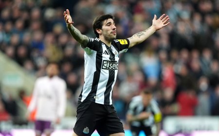 Investigados varios futbolistas de la Serie A como Tonali o Fagioli por apuestas ilegales en Italia