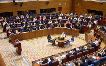 El ‘troleo’ de Más Madrid al PP: copia una iniciativa suya del Senado y el partido de Ayuso vota en contra
