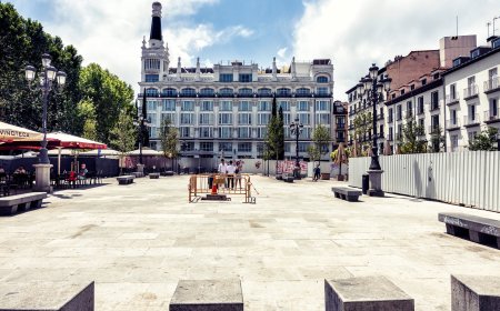 Almeida no cumple la promesa de colocar más árboles en la plaza de Santa Ana y mantiene su fama de arboricida