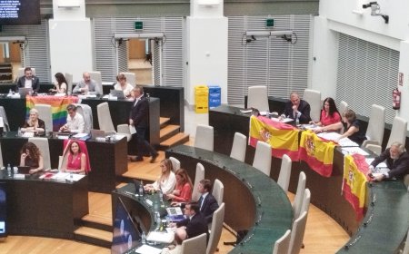 Una concejala socialista saca la bandera LGTBIQ+ en el pleno del Ayuntamiento de Madrid y Vox responde con tres de España