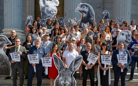 El grito por una Europa libre de jaulas resuena ante los leones del Congreso