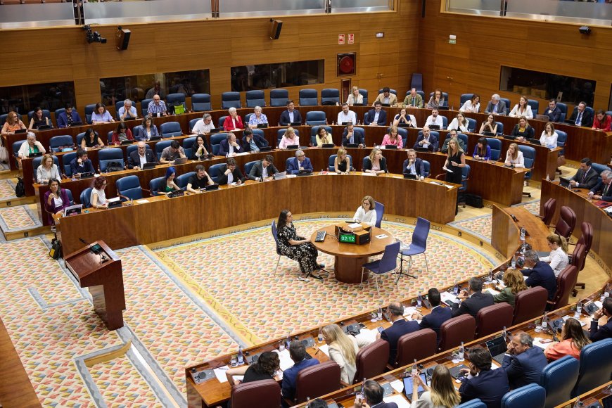El ‘troleo’ de Más Madrid al PP: copia una iniciativa suya del Senado y el partido de Ayuso vota en contra
