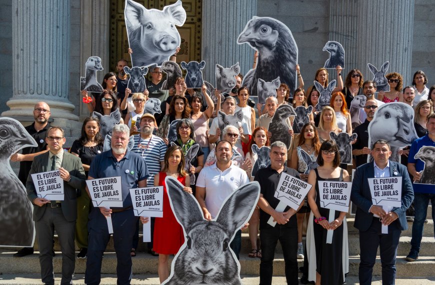 El grito por una Europa libre de jaulas resuena ante los leones del Congreso