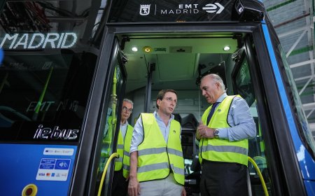 Un error del juez Peinado obliga a cerrar la instrucción contra un alto cargo del Gobierno de Almeida