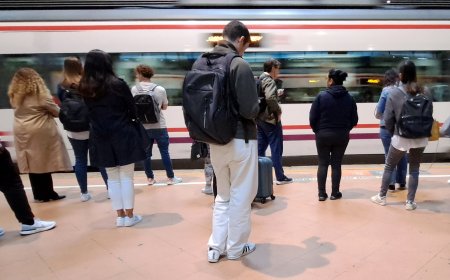 La caída de un árbol sobre la vía entre Atocha y Vallecas provoca retrasos en hora punta en Cercanías