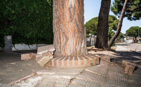 Los independentistas de Alcorcón: quieren marcharse de su propia ciudad porque los tratan como si fueran “de otro planeta”