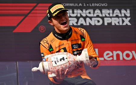 Lando Norris se fue para volver
