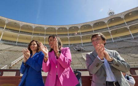 Ana Millán, la polémica colaboradora de Ayuso con un currículum engordado en campaña