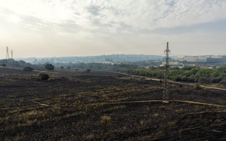 El incendio de Tres Cantos afectó 607 hectáreas del municipio