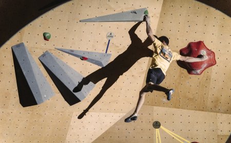 5 planes gratis del 29 de agosto al 5 de septiembre: un códice del siglo III y un campeonato de escalada