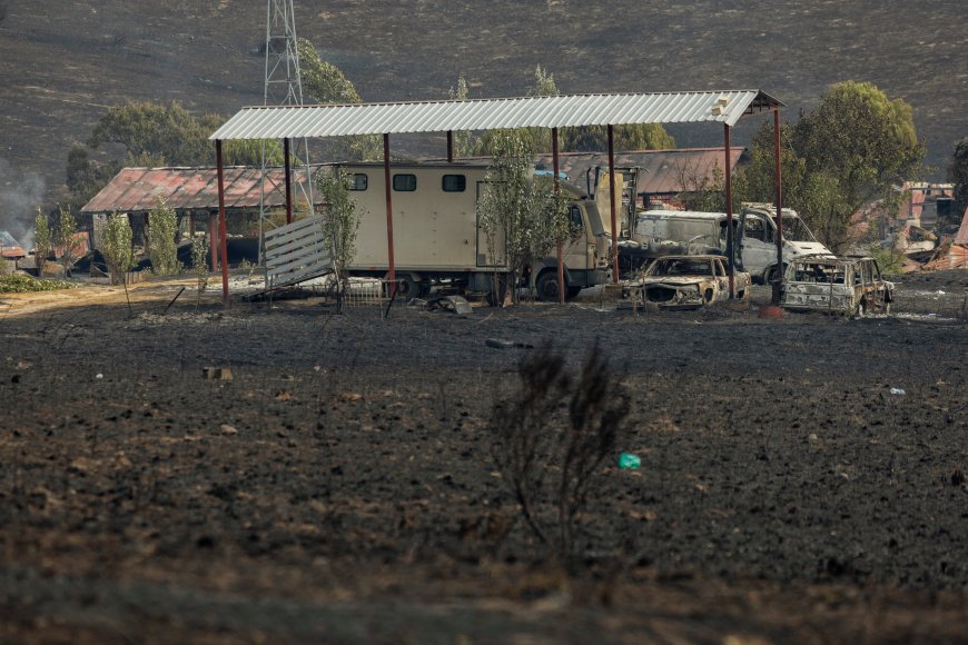 El hombre que murió en el incendio de Tres Cantos intentó salvar a los caballos de las llamas