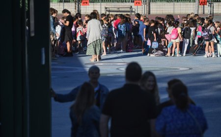 Cerca de 300 colegios públicos de Madrid abrirán sus patios y bibliotecas durante las tardes este próximo curso