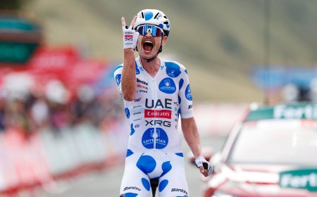 Vine se lleva otra victoria de etapa y Vingegaard el liderato de la Vuelta a España