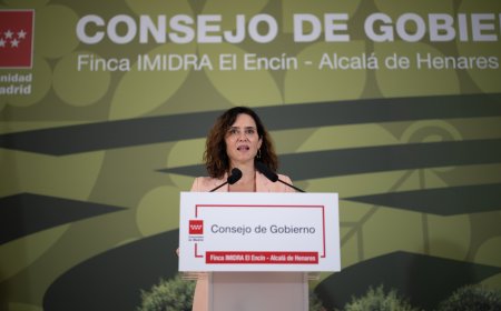 La jueza del ‘caso FP’ que salpica al Gobierno de Ayuso llama a declarar como testigo a un alto cargo del Ejecutivo
