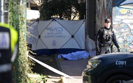 Matar a un feriante de Alcalá de Henares por 20.000 euros