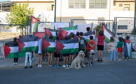 Neutralidad no es censura: lo que Gaza ha puesto en evidencia en las aulas