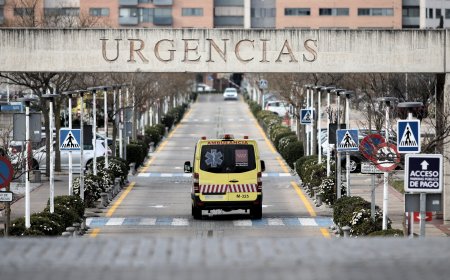 Trasladada al hospital una mujer por una picadura de escorpión en un hotel de Alcorcón