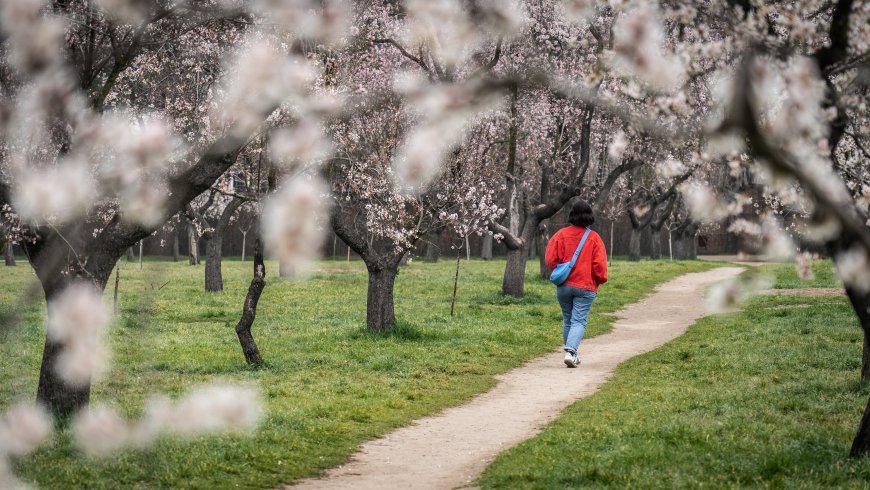 La Comunidad de Madrid declara la Quinta de los Molinos Bien de Interés Cultural