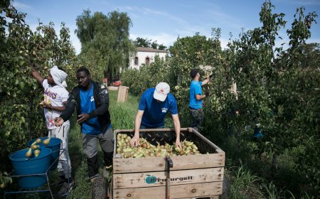 “¡Es que vienen con machetes!”. No son los migrantes: es el capitalismo global