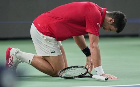 Hasta aquí llegó Djokovic, derrotado por el inimaginable Vacherot