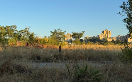 Vivienda recibe terrenos de la antigua cárcel de Carabanchel para levantar 508 casas