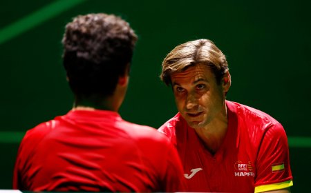 ¿Ego David Ferrer? Quien eso escribe, no le conoce