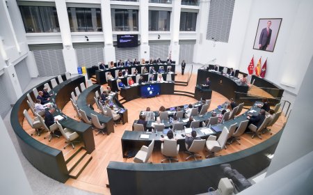Gentuza, pagafantas, trilero, ridículo o indigente intelectual: un año más de insultos en la política de Madrid