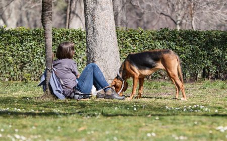 Los perros en Madrid se drogan sin querer