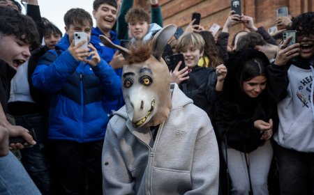 Mejor ser animal que (animal) humano: contra el odio al ‘therian’