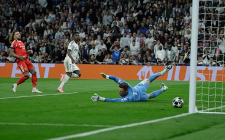Real Madrid - Benfica en directo |  Tchouaméni: “Necesitamos esta versión de Vinicius”