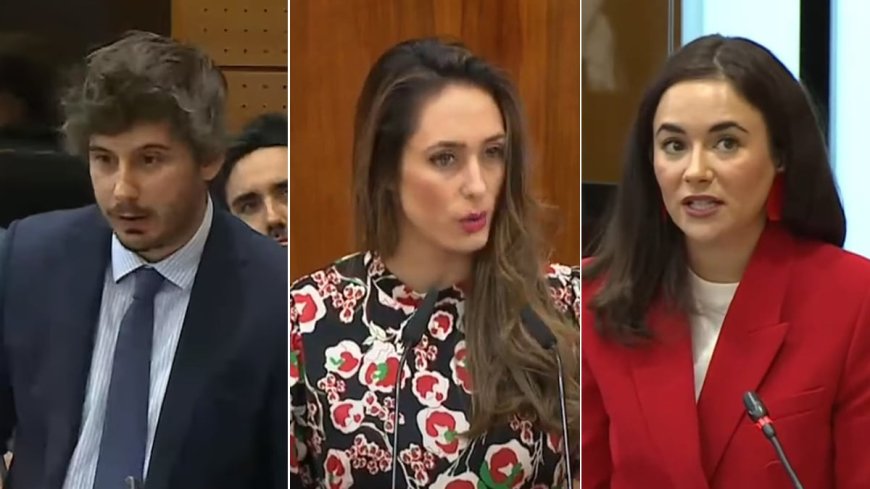 Y ‘los pocholos’, pocholeando